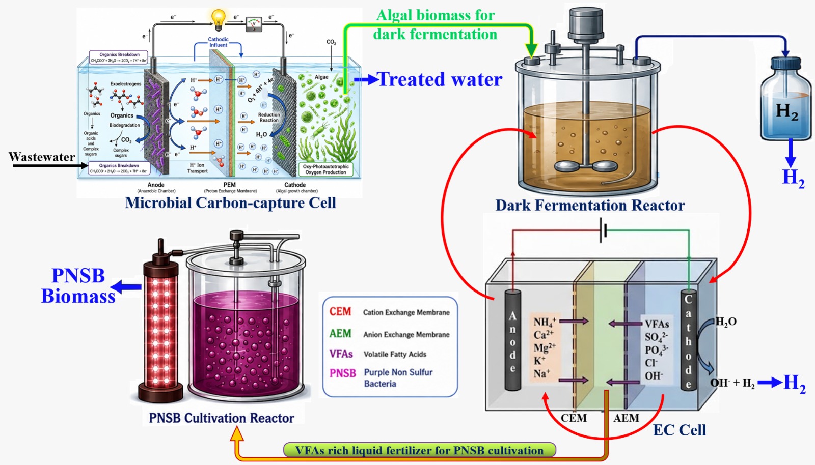 Engineered Catalysts
